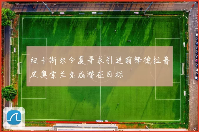 纽卡斯尔今夏寻求引进前锋德拉普皮奥索兰克成潜在目标